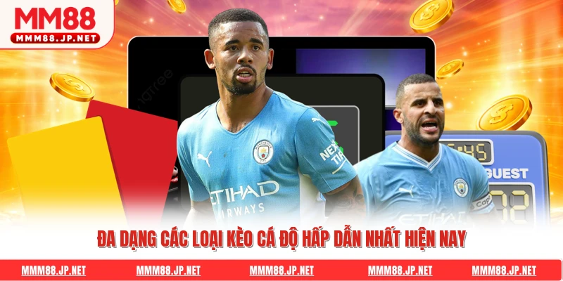 Đa dạng các loại kèo cá độ hấp dẫn nhất hiện nay