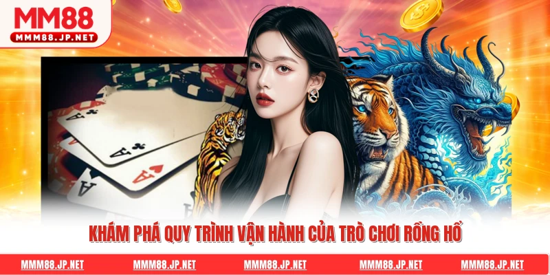 Khám phá quy trình vận hành của trò chơi rồng hổ