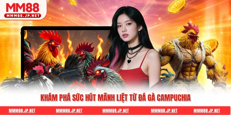 Khám phá sức hút mãnh liệt từ đá gà Campuchia
