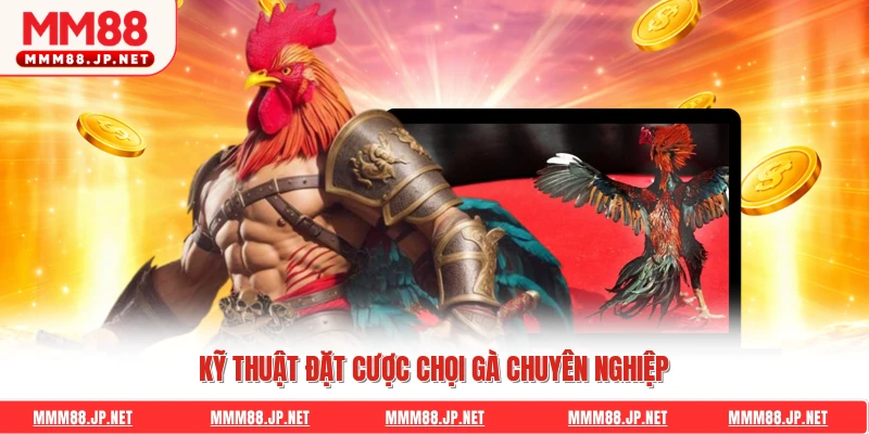 Kỹ thuật đặt cược chọi gà chuyên nghiệp