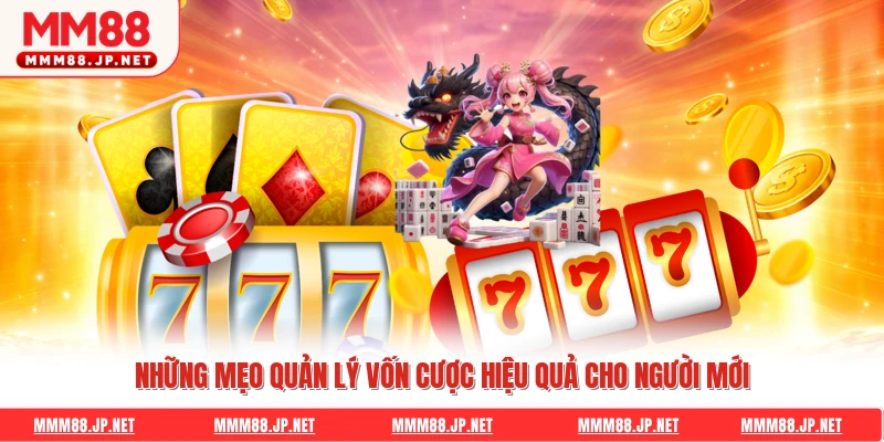 Những mẹo quản lý vốn cược hiệu quả cho người mới
