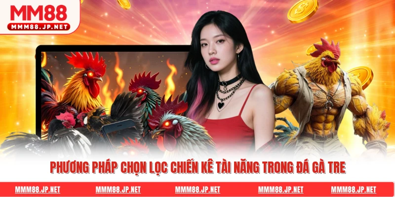 Phương pháp chọn lọc chiến kê tài năng trong đá gà tre