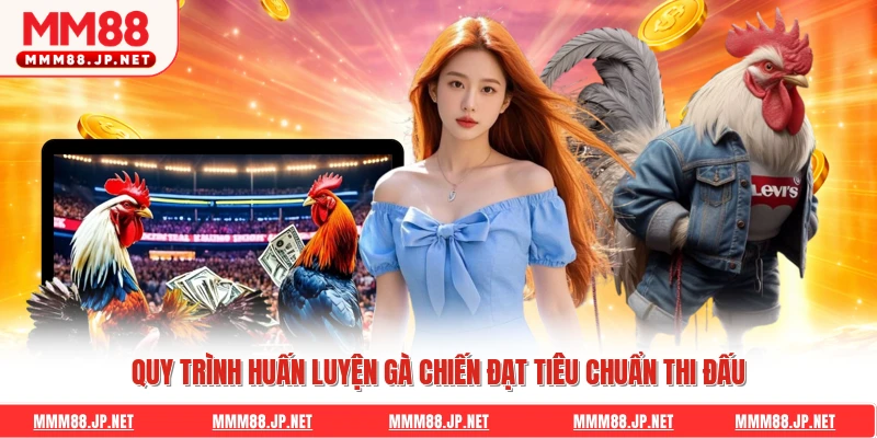 Quy trình huấn luyện gà chiến đạt tiêu chuẩn thi đấu